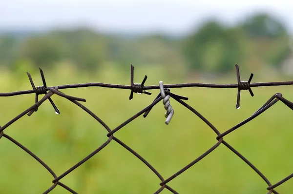 Barbed wire close up — Stock Photo, Image