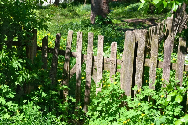 Old wooden gate — Stock Photo, Image