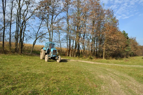 Трактор, стоящий возле деревьев — стоковое фото