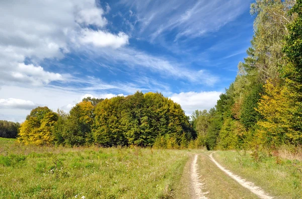 Dirt road near the autumn forest — Stock Photo, Image