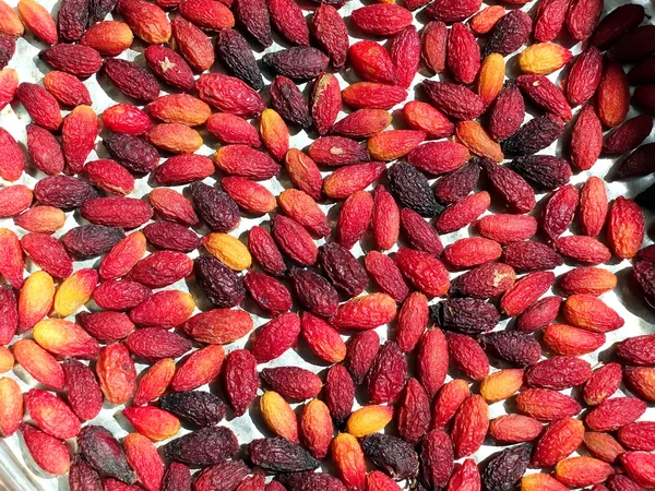 Dried rosehips — Stock Photo, Image