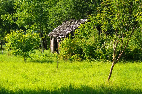 緑豊かな緑の芝生と木々 に囲まれた廃屋 — ストック写真