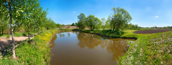 Sjön mellan träden — Stockfoto