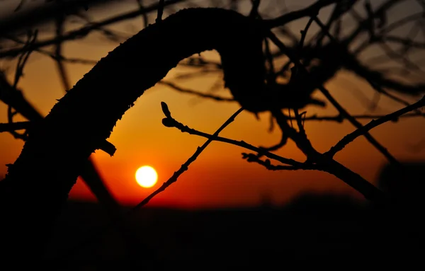 Ζεστό ηλιοβασίλεμα — Φωτογραφία Αρχείου
