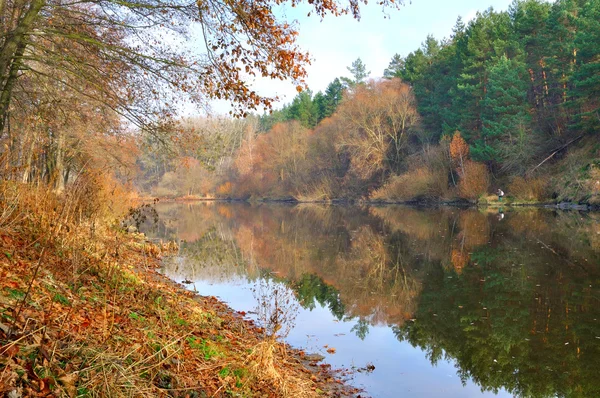 River in autumn — Zdjęcie stockowe