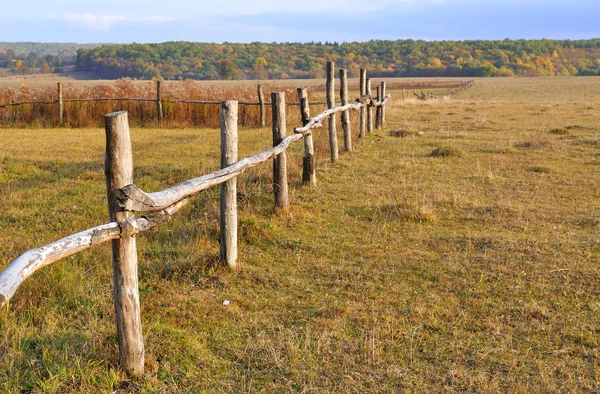 秋のフィールドで木製フェンス — ストック写真