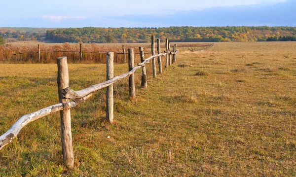 Wooden fence in the autumn field — Stock Photo, Image