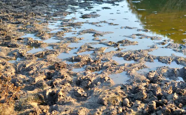 진흙 웅덩이 — 스톡 사진