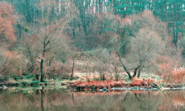 fairy trees on coast river