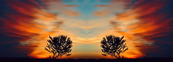 Baum vor dem Hintergrund des gesättigten Himmels bei Sonnenaufgang — Stockfoto