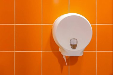 Tuvalet odasının içi turuncu kiremit duvarına karşı tuvalet kağıdı tutacağıyla dolu..