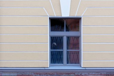 Sarı alçılı bir duvara karşı dikdörtgen pencere. St. Petersburg 'un bir dizi penceresinden.