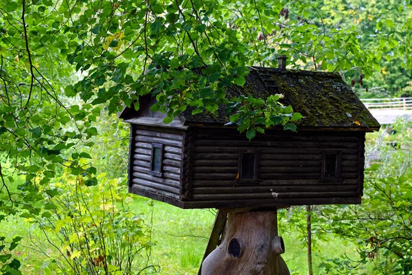 Vogelfutterhäuschen Aus Holz Form Eines Hauses Auf Dem Hintergrund Grünen — Stockfoto