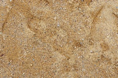 Coarse-grained yellow sand with small pebbles, for use as abstract backgrounds and textures.