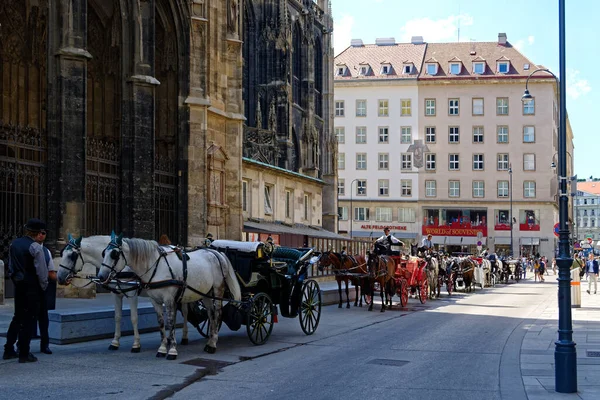 Wien Österreich Juli Spazierende Fiaker Mit Taxis Warten Juli 2018 — Stockfoto