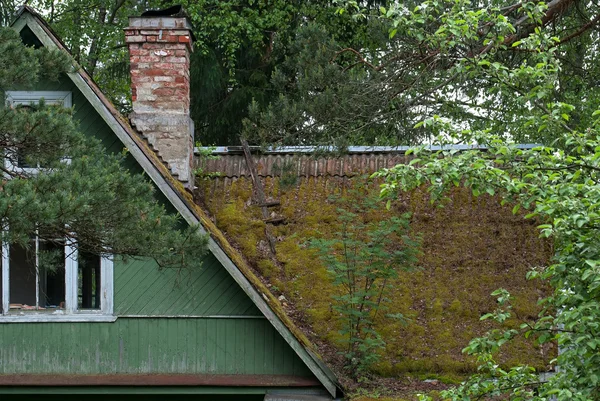 Het mos op het dak. — Stockfoto