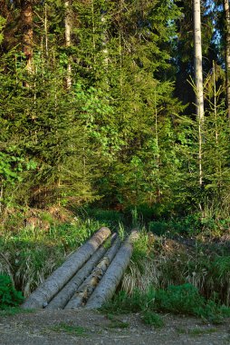 Geçit dağ geçidi arasında.
