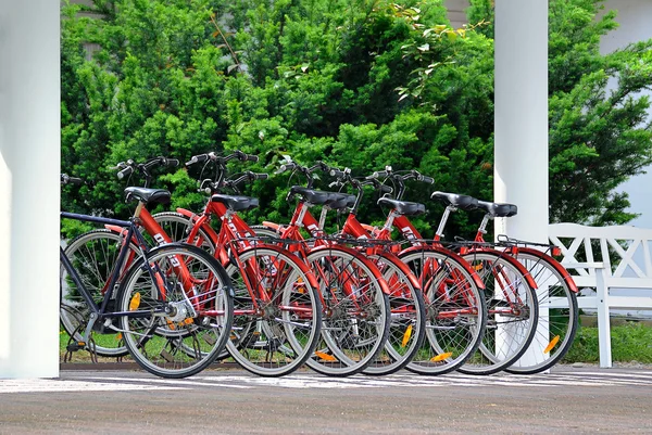 Парковка для велосипедов . — стоковое фото