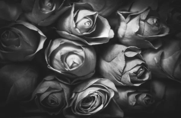 Bouquet de roses — Photo