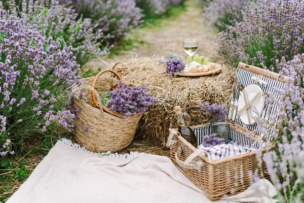 Літній пікнік з вином і сиром в лавандовому полі, на відкритому повітрі, захід природного світла . — стокове фото