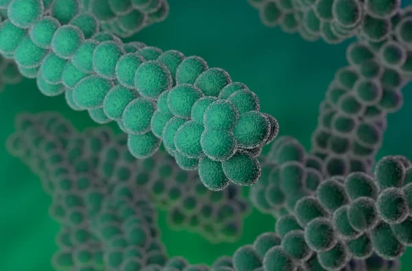 Streptococcus Bakterier Render Illustration Närbild — Stockfoto