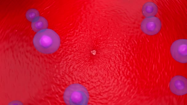 T細胞攻撃増殖腫瘍癌3Dレンダリングアニメーション — ストック動画