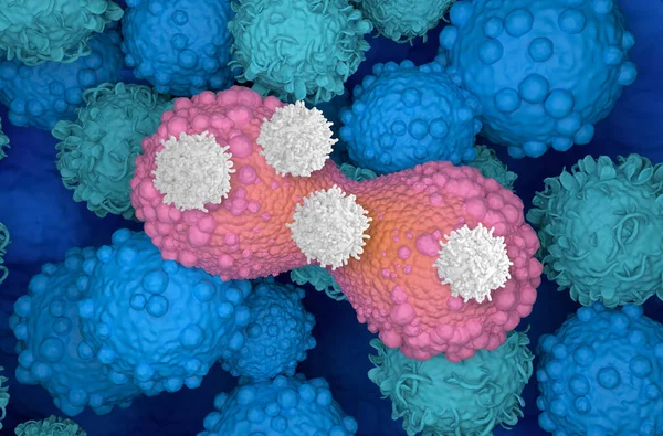Cellen Aanval Verdelen Borstkankercel Illustratie — Stockfoto