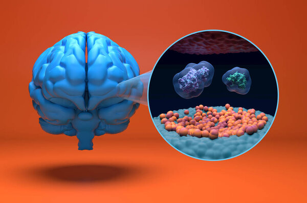 Cyclooxygenase enzymes (COX-1 COX-2) - isometric view 3d illustration