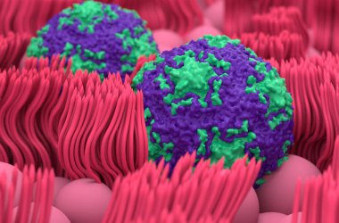 İnsan Rhinovirüsü B14 - 3 boyutlu resimleme