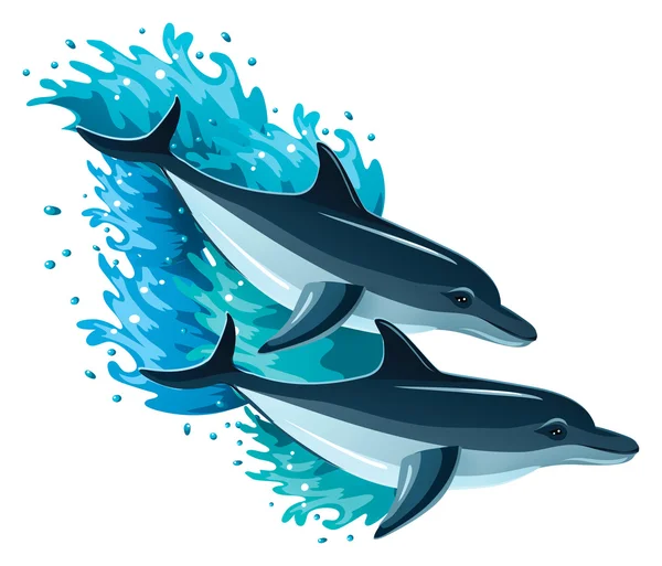 Couple of dolphins swimming — Stock Vector