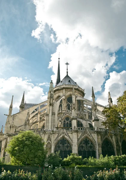 Notre dame de paris — Stockfoto