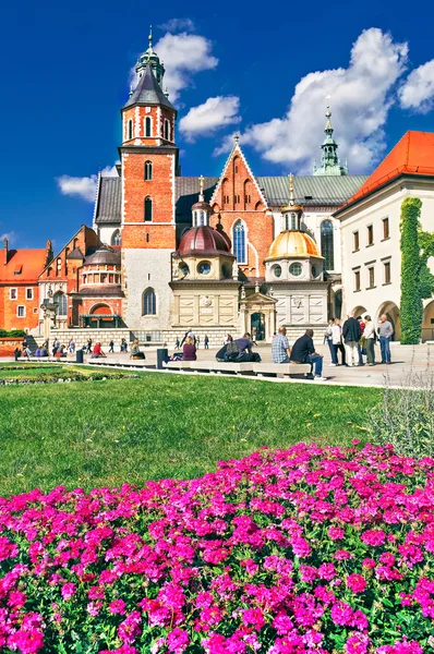 Wawel Katedra na Wawelu w Krakowie. — Zdjęcie stockowe