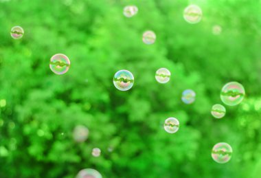 sabun köpükleri yeşil arkaplanda