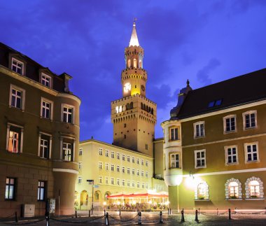 Opole city in the night clipart