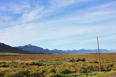Büyük yeşil alanda güneşli bir sabah