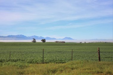 Sabahları sisli uzak dağlar
