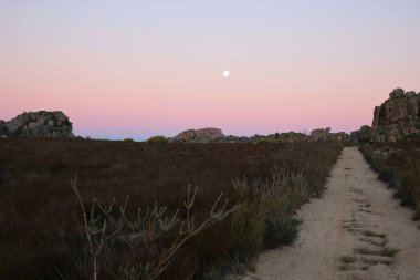 Pembe gün batımı ve ay 