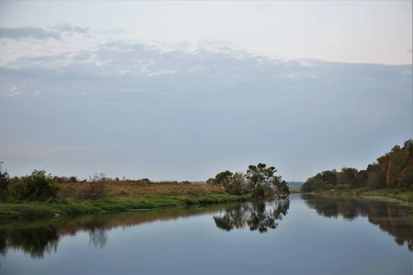 Sonbaharda Rus doğası: sudaki sarı tarlalar ve ağaçlar 
