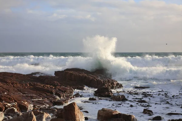 Okyanusta büyük bir sıçrama. 