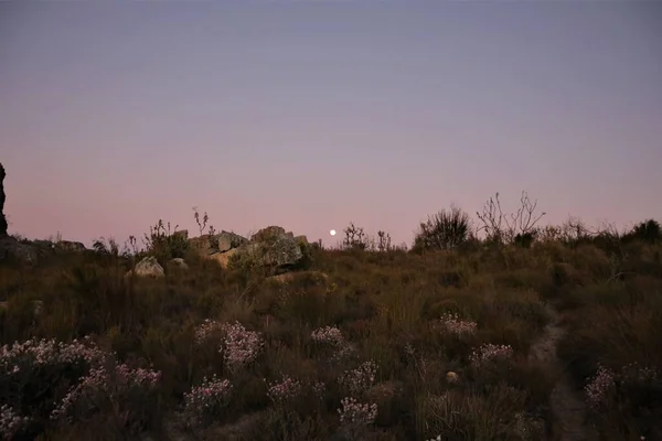 Güney Afrika 'da gün batımı manzarası. Ufukta büyük bir ay var. 
