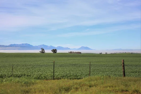 Sabahları sisli uzak dağlar