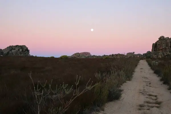 Pembe gün batımı ve ay 