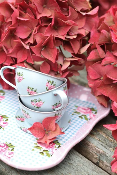 Tazza di latta blu uovo anatra giocattolo e piattini su un vassoio — Foto Stock