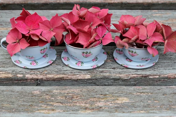 Toy duck egg blue tin cup and saucer on weathered wooden bench — Stock Photo, Image