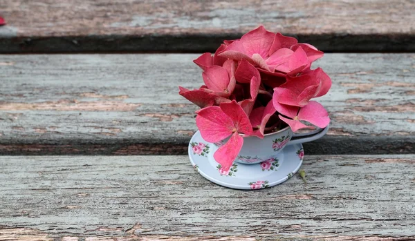 Toy duck egg blue tin cup and saucer on weathered wooden bench — Stock Photo, Image