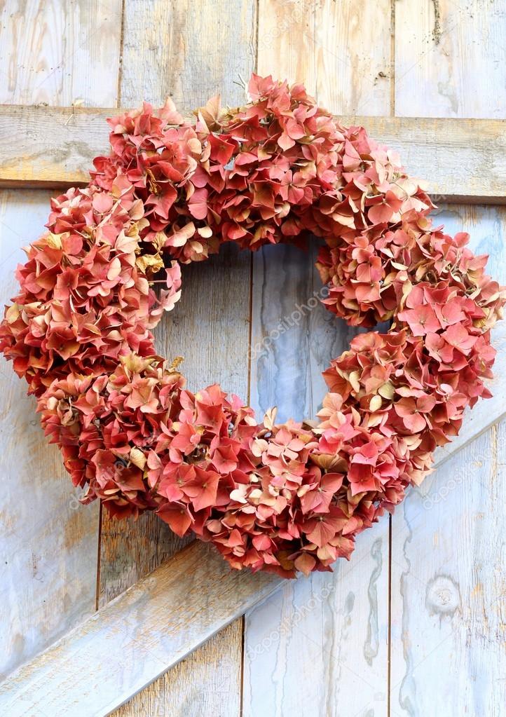 Autumn wreath of faded hydrangea flowers