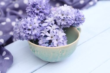 Blue Hyacinth clipart