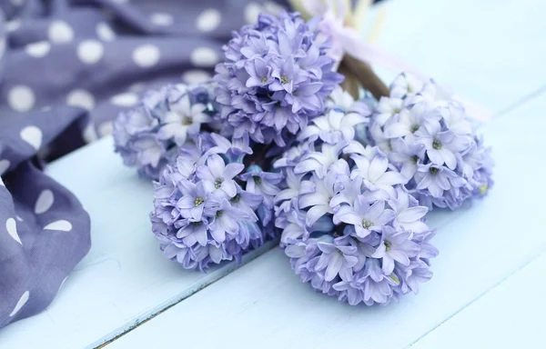 Blue Hyacinth Royalty Free Stock Photos