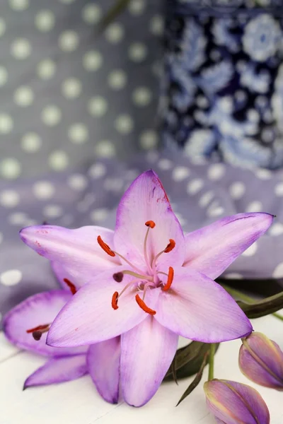 Незвичайні пофарбовані фіолетові лілії — стокове фото