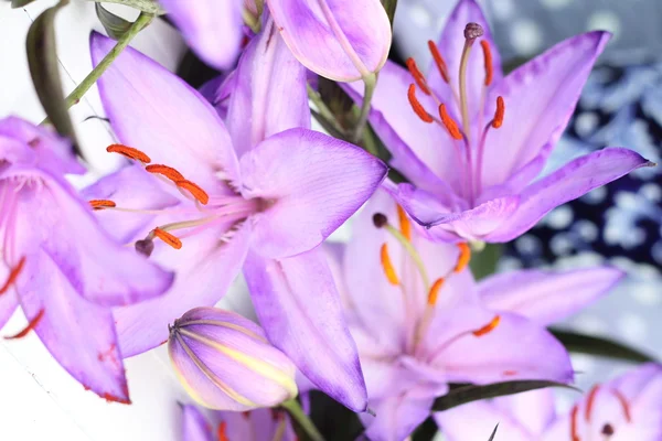Ungewöhnlich gefärbte lila Lilien — Stockfoto